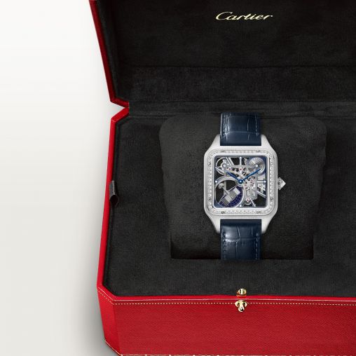 HPI01631 Cartier Santos De Cartier