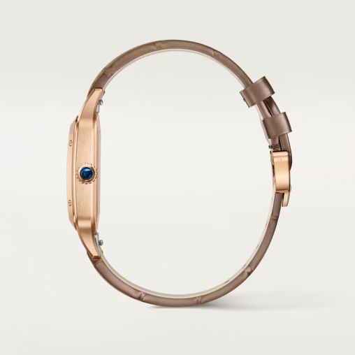 WGSA0112 Cartier Santos De Cartier