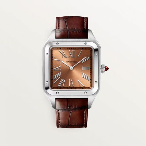 WGSA0113 Cartier Santos De Cartier