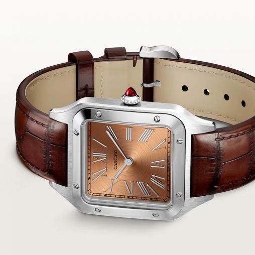 WGSA0113 Cartier Santos De Cartier