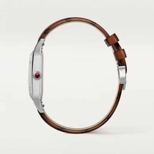 WGSA0113 Cartier Santos De Cartier