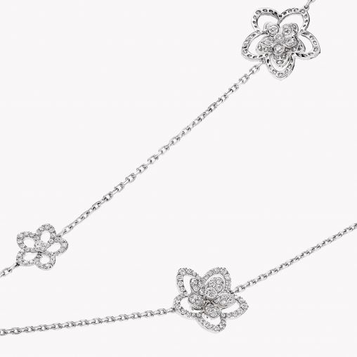 RGN718 GRAFF Wild Flower