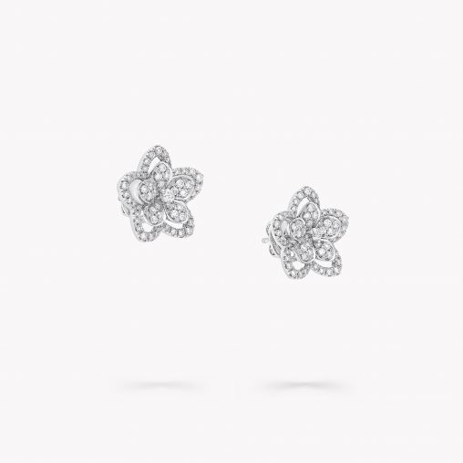 RGE1719 GRAFF Wild Flower