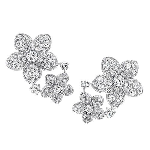 RGE1737 GRAFF Wild Flower