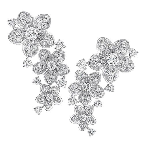 RGE1736 GRAFF Wild Flower