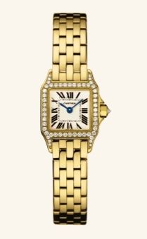 WF9006Y7 Cartier Santos De Cartier