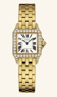 WF9001Y7 Cartier Santos De Cartier