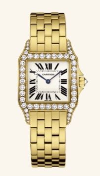 WF9002Y7 Cartier Santos De Cartier