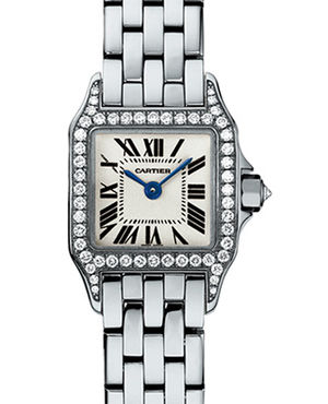 WF9005Y8 Cartier Santos De Cartier