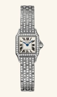 WF9005YA Cartier Santos De Cartier