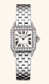 WF9003Y8 Cartier Santos De Cartier
