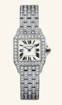 WF9003YA Cartier Santos De Cartier
