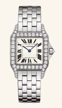 WF9004Y8 Cartier Santos De Cartier