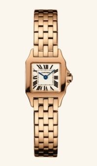 W25077X9 Cartier Santos De Cartier