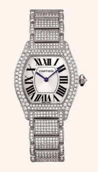 WA5049MC Cartier Tortue