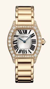 WA50703I Cartier Tortue