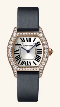 WA507031 Cartier Tortue