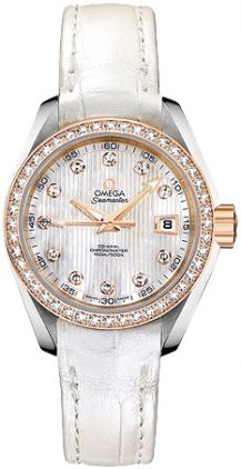 231.28.30.20.55.001 Omega Seamaster Aqua Terra