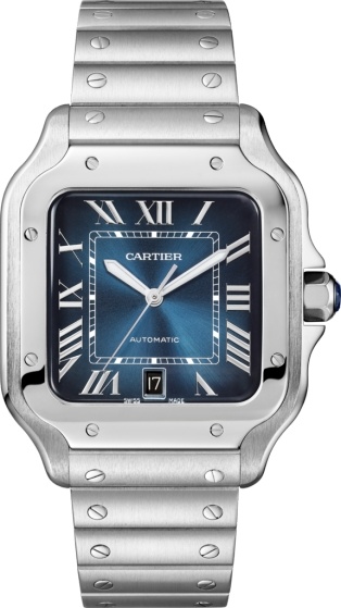 ᐈ Часы 【Cartier WSSA0013】 Цена на 